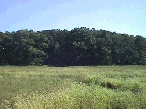 Sekerez Development | Porter County, Indiana